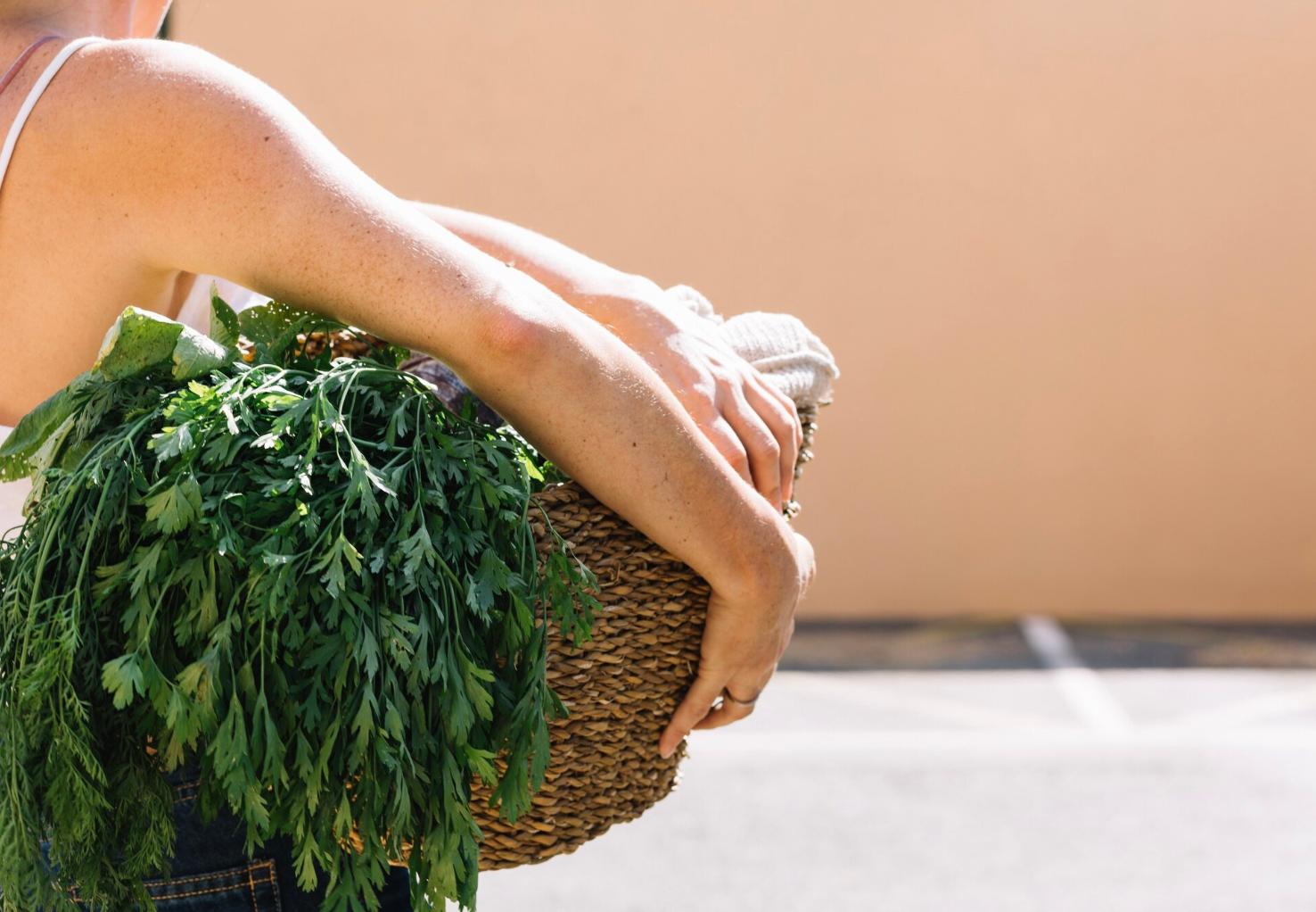 Optar por cultivar ou comprar ervas aromáticas, eis a questão