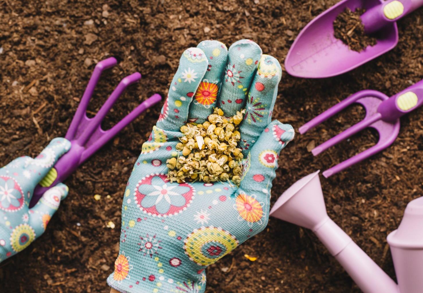 O truque simples para iniciar a produção de sementes no seu jardim