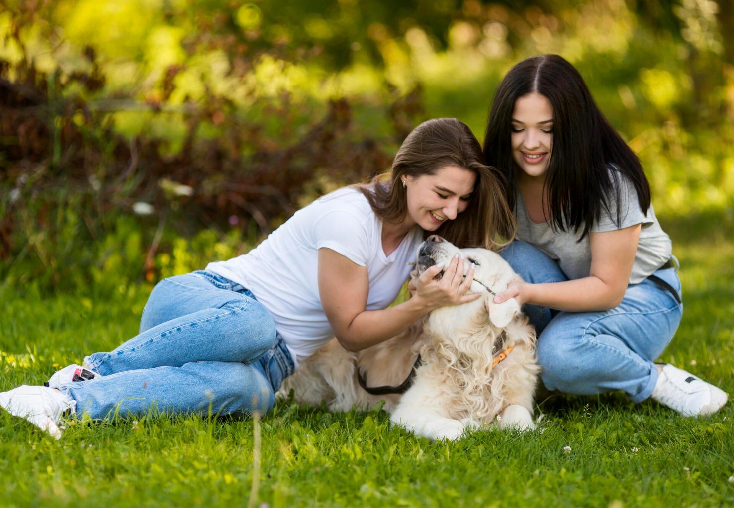 Cães melhoram a socialização dos adolescentes, revela investigação